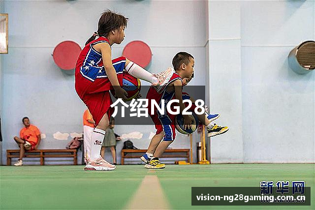 介绍NG28